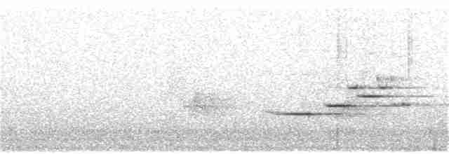 Münzevi Bülbül Ardıcı - ML363414471