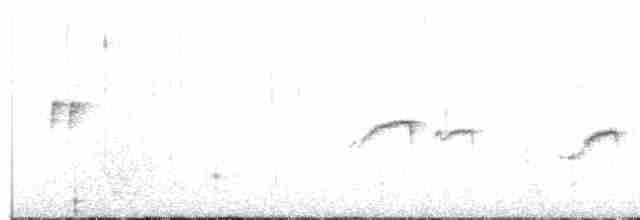 Мышиный чертополошник - ML363424511