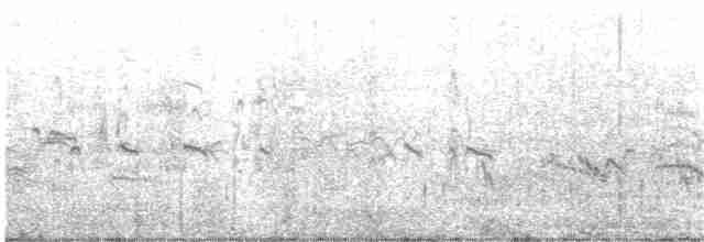 Common Tern - ML363436721