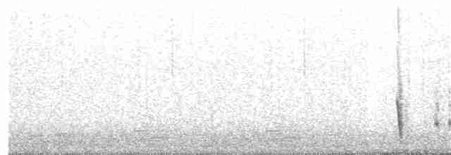 Weißbürzeltangare - ML363452131