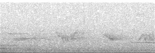 Kara Kanatlı Piranga - ML363516091
