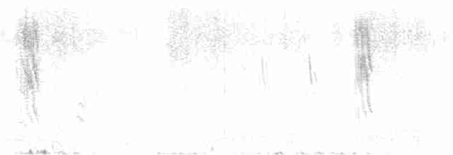 Ластовиця бурочерева - ML363561221