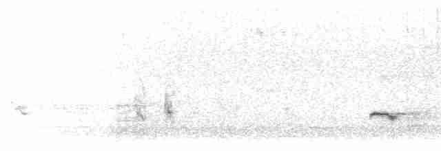 Black-streaked Scimitar-Babbler - ML363633971