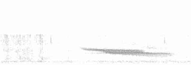 Giant Antshrike - ML363675391