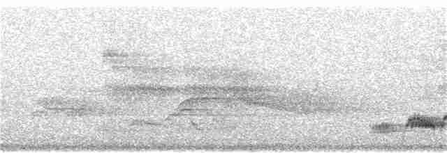 Дрізд-короткодзьоб Cвенсона - ML363701711