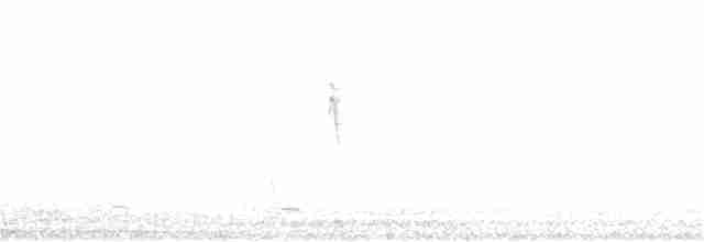 Тростниковый крапивник - ML363779481