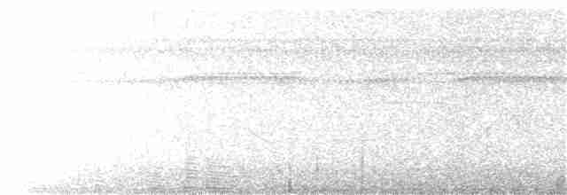 Large-tailed Antshrike - ML363787981