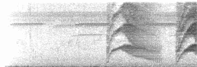 Large-tailed Antshrike - ML363788101