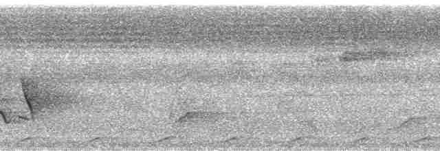 Малая кукушковая горлица - ML36386