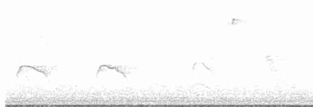 Graukappen-Kleintyrann - ML363882701