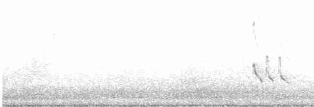 Короткоклювый бекасовидный веретенник - ML364049921