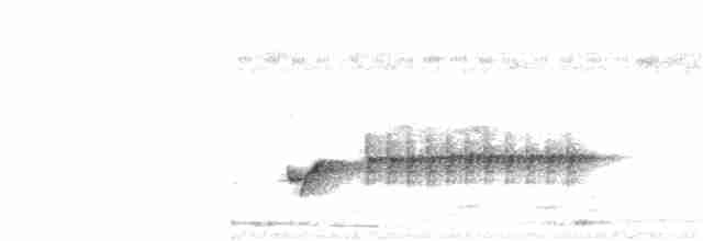 Luzonschneidervogel - ML364080721
