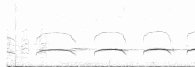 Tufted Antshrike - ML364092401