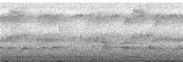 Safir Karınlı Kolibri - ML364111921