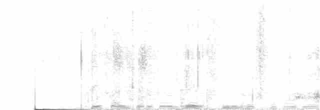 Серый павлиний фазан - ML364310541