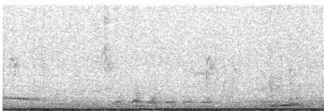 Çıplak Gözlü Yer Kumrusu - ML364324171