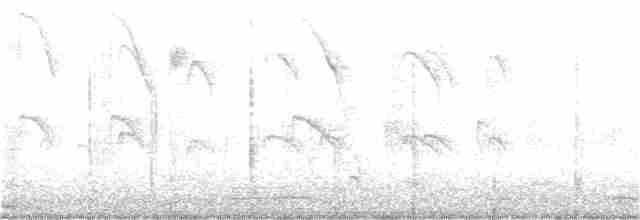 斑文鳥 - ML364361401