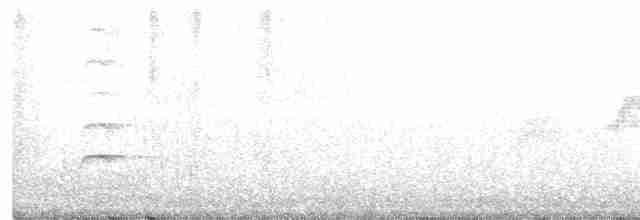 Mikronezya Sığırcığı - ML364522401