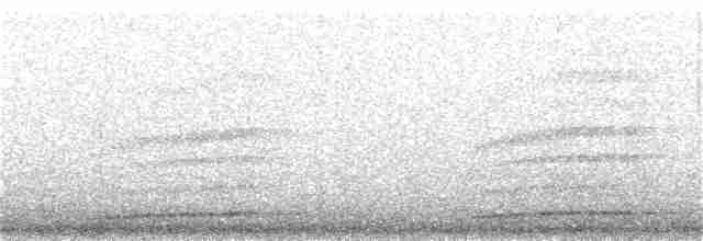 Кукушечья иглоногая сова - ML364540921