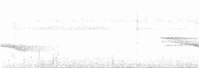 Weißband-Ameisenvogel - ML364636531