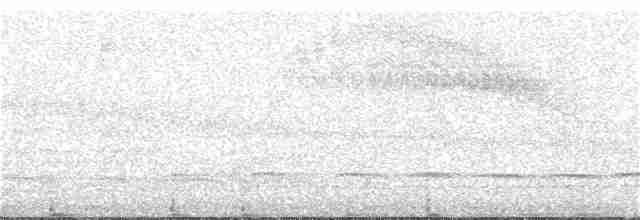Trepatroncos Oscuro - ML364702161