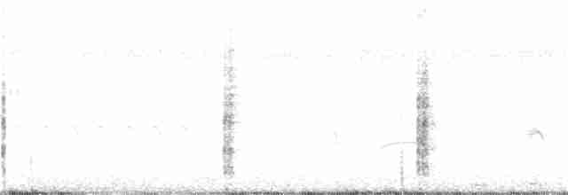 Râle tapageur (groupe pallidus) - ML364790051