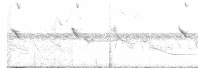 American Pygmy Kingfisher - ML364846511