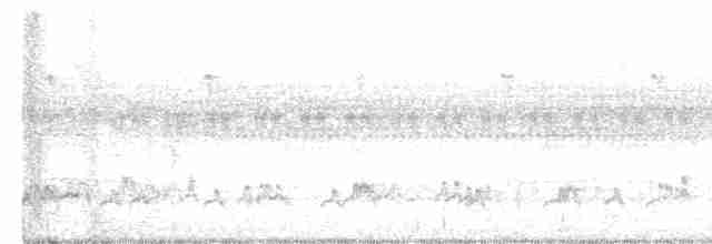 European Bee-eater - ML364852211