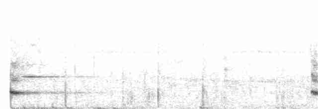 Çıplak Boğazlı Çankuşu - ML364862651