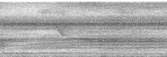 Зондский медоуказчик - ML36487