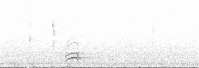 White-necked Thrush - ML364909201