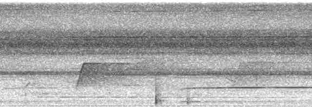 Полосатый зимородок - ML36492