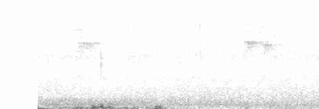 Picoplano de Anteojos - ML365111481
