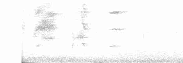 Picoplano de Anteojos - ML365111491