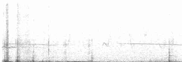 Black-eared Cuckoo - ML365113831