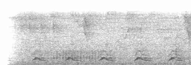 Lacivert Kuyruklu Trogon - ML365189341