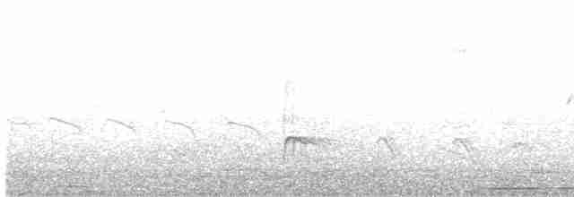 Gros-bec à capuchon - ML365215091