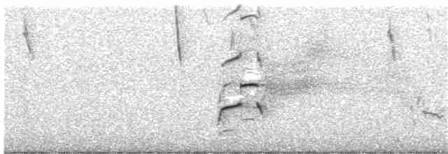 Красноспинная агуйя - ML365260441
