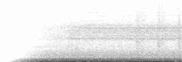 Solomons Nightjar - ML365269841