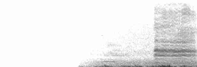 Tepeli Büyük Sumru - ML365302961