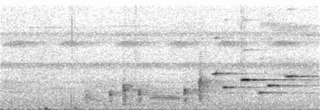 Толстоклювый крапивник - ML365305171