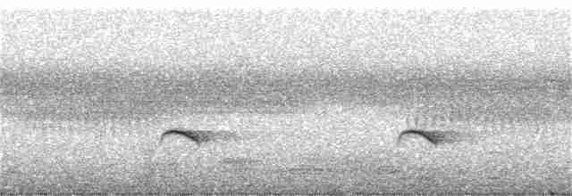 Rusty-tailed Flycatcher - ML365357091