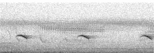Rusty-tailed Flycatcher - ML365357101
