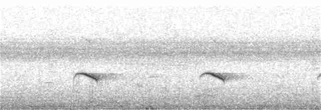 Rusty-tailed Flycatcher - ML365357191