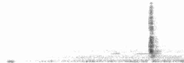 裏海燕鷗 - ML365370301