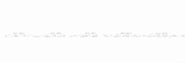 Сова плямиста - ML365462891