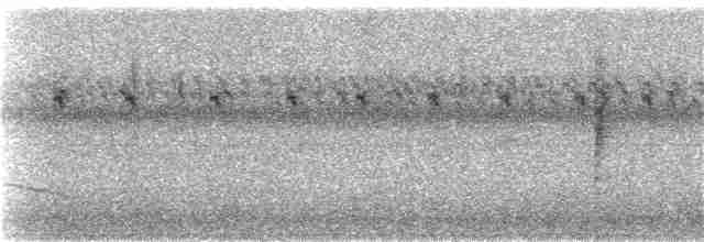 svartbrystparula - ML365519681