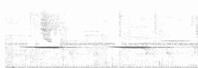 Black-faced Rufous-Warbler - ML365526031