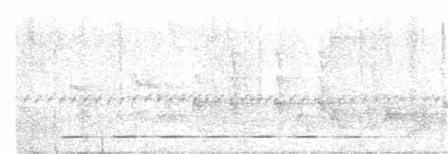 chřástalík běloskvrnný - ML365528051