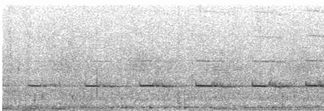 Kieferntrogon - ML365552931